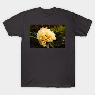 Vintage Yellow Peony T-Shirt